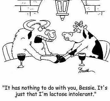 lactose-intolerant